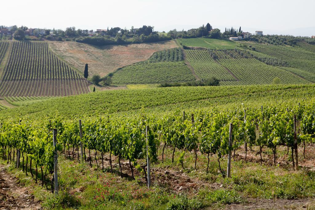 Agriturismo Borgo Vigna Vecchia Черрето-Гвиди Экстерьер фото